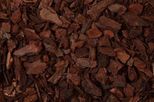 Litre orchid bark chips - 10,