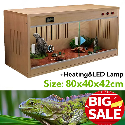 Large reptiles terrarium - reptiles,