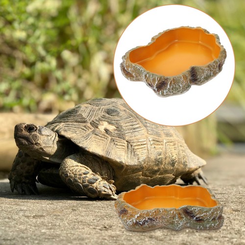 Durable resin reptile feeding - resin,