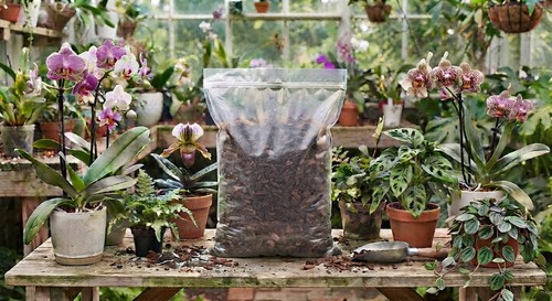 Orchid and reptile bark chips - bark,