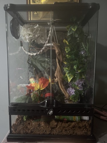 Reptile vivarium heat mat - vivarium,, &