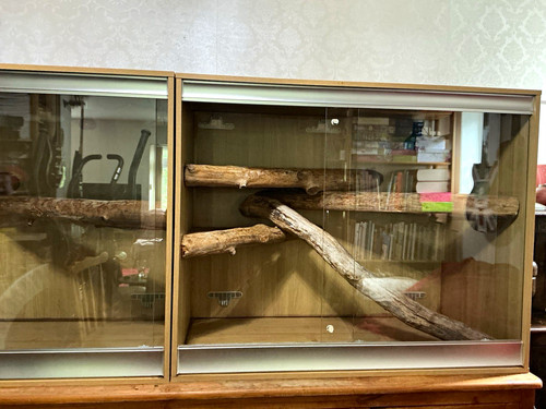 Large arboreal vivarium - large,