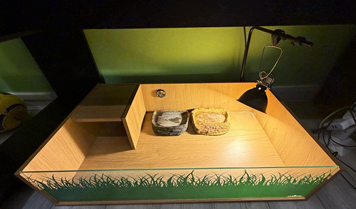 Wooden reptile vivarium - reptile,