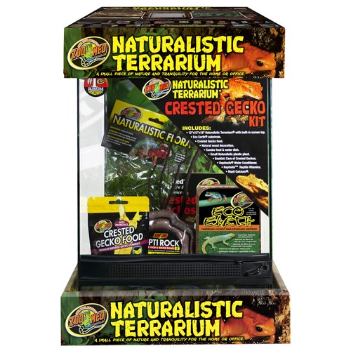Zoomed naturalistic terrarium - naturalistic,