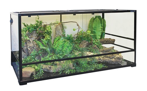 120cm glass terrarium vivarium - terrarium,
