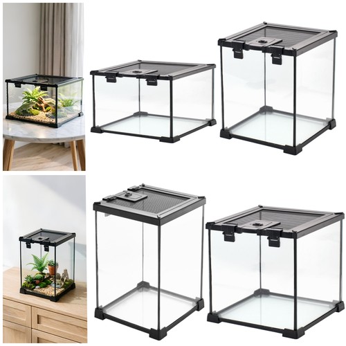 Clear glass reptile terrarium - reptile,