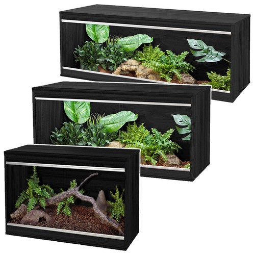 Vivexotic black viva - vivexotic,