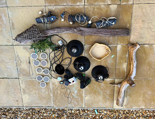 Reptile vivarium interior