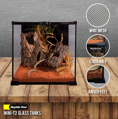 Stackable glass terrarium - stackable,