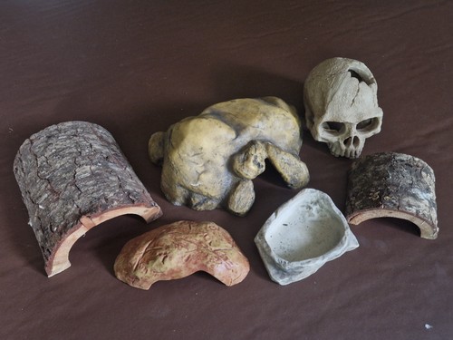 Reptile snake vivarium bundle - reptile,