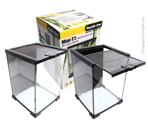 Stackable glass terrarium - glass,