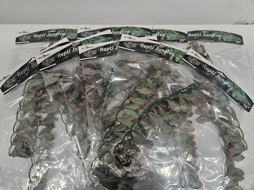 Reptile vivarium terrarium - reptile,