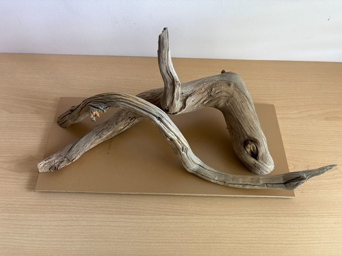 Double chestnut branch bridge