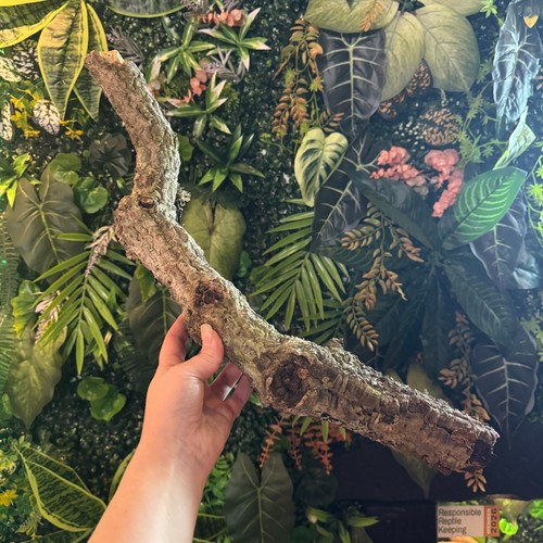 Small cork bark branch - cork,