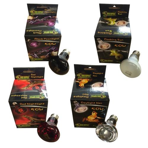 Reptile fluorescent light bulb - reptile,