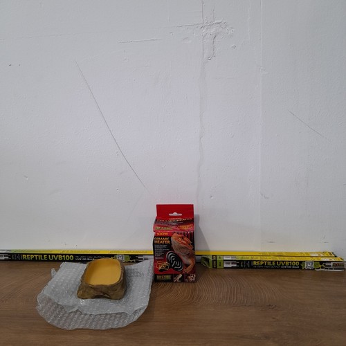Reptile vivarium setup job - reptile,