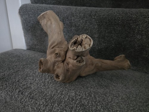 Java wood small - wood,