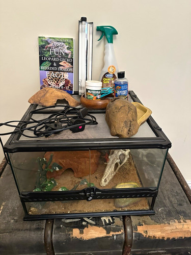 Glass reptile vivarium - glass,