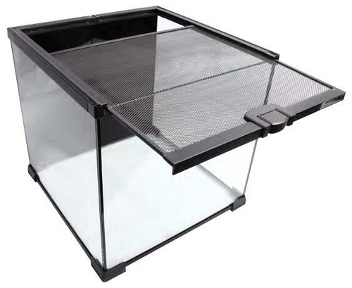 Stackable glass terrarium - stackable,