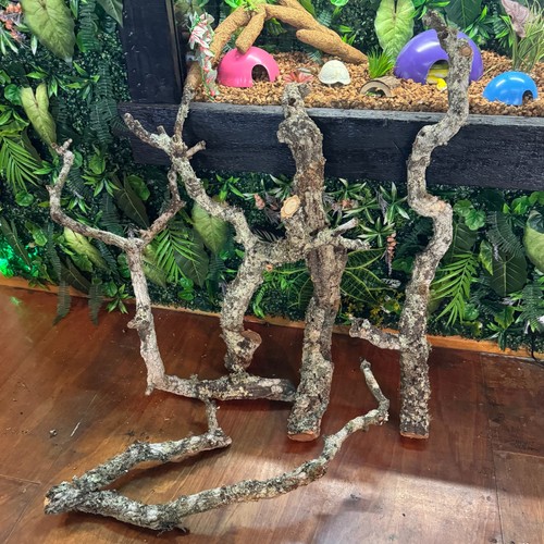 Large cork bark branches - cork,