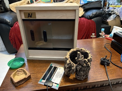 Small reptile vivarium with - reptile,