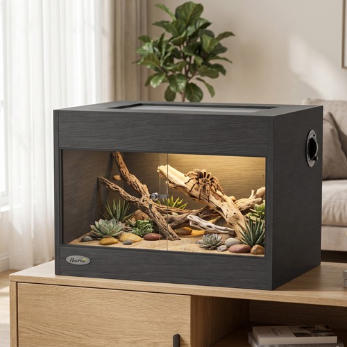 Reptile terrarium - reptile,
