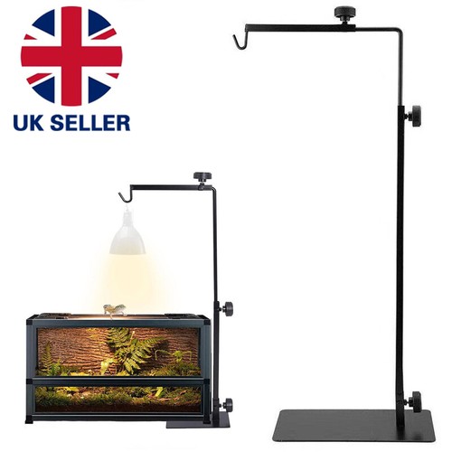 Tortoise table light - table, stand