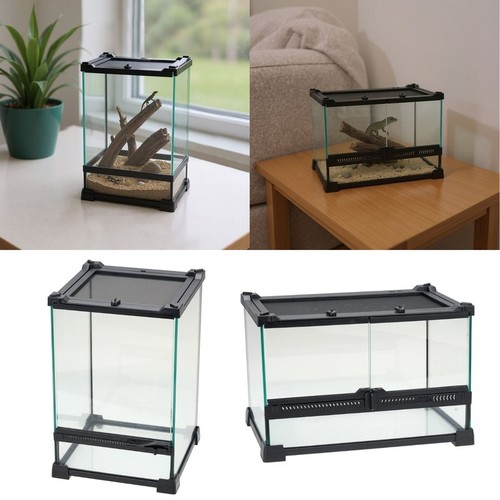 Glass reptile terrarium - glass,