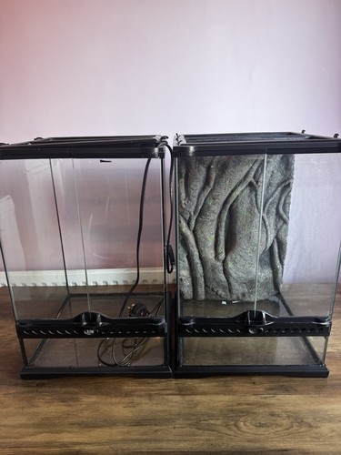 Reptile vivarium - reptile,