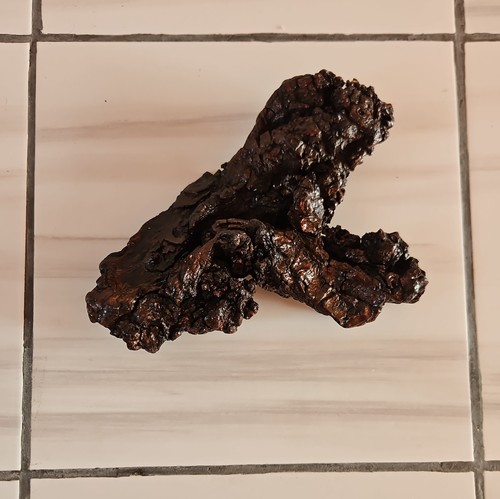 Cork bark wood - wood, pieces