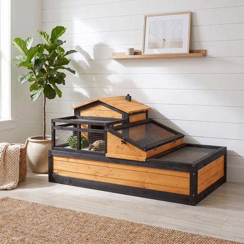 Three room tortoise house - tortoise,