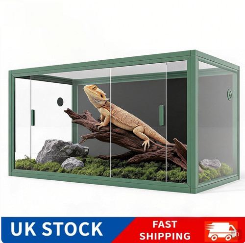 Gallon bearded dragon - 83,