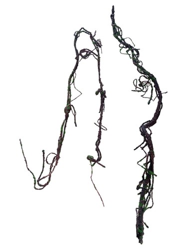 Flexible jungle climbing - flexible,
