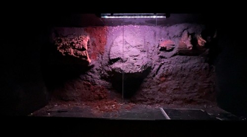 Custom hand made - made, vivarium