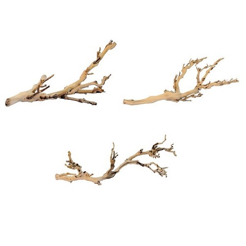 Exo terra forest - terra, branch
