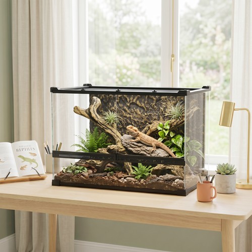 Glass terrarium with stone - with,