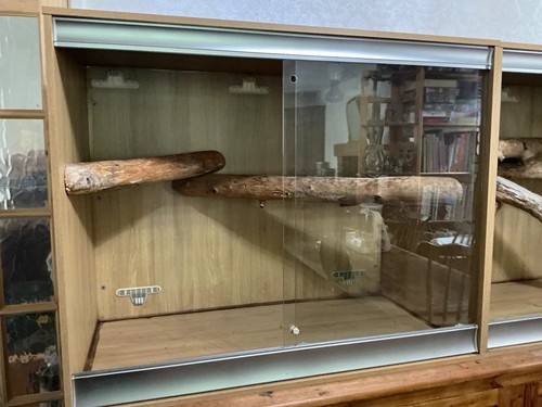 Large arboreal vivarium - arboreal,